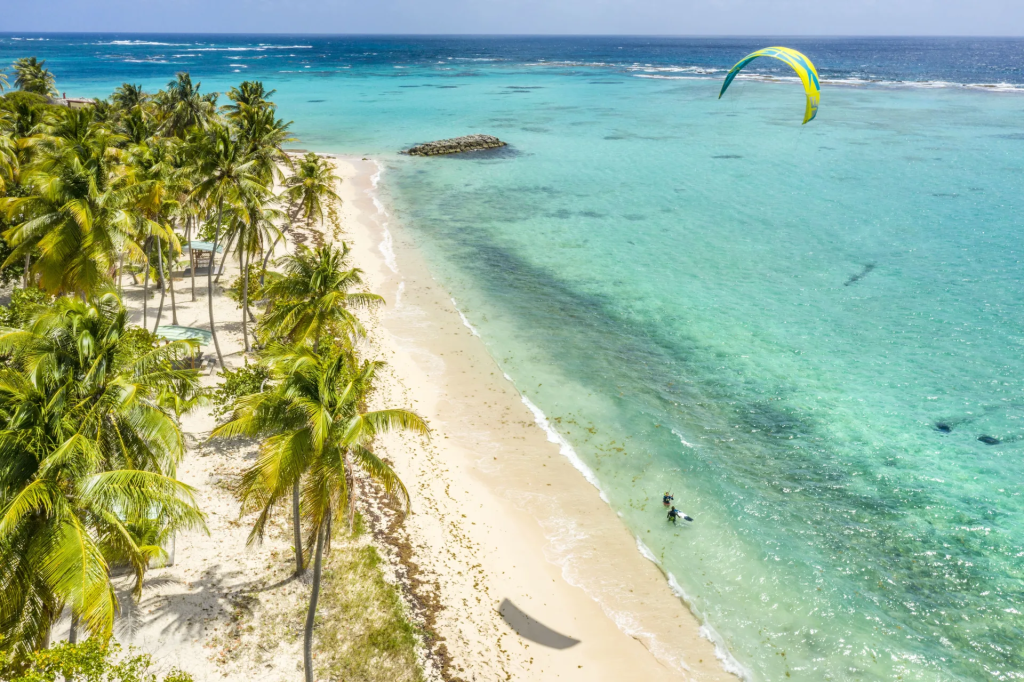 La plage de la Feuillère et ses cocotiers, à Capesterre-de-Marie-Galante