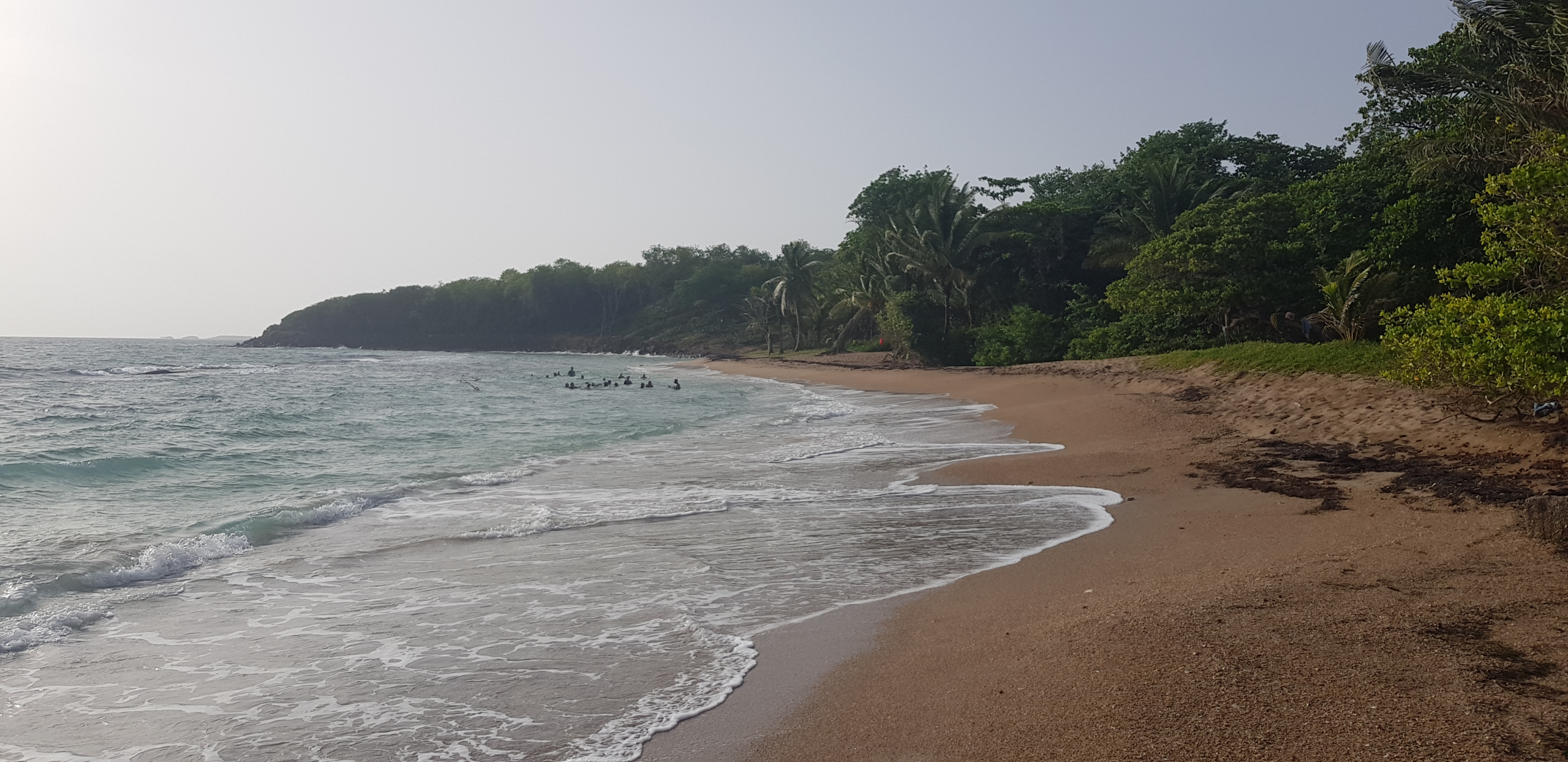 Plage de l'Anse Vity au sud de Sainte-Rose, sable ocre et eau calme protégée par le récif