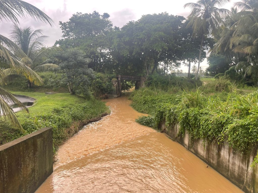 Canal de Belle-Plaine bordé de verdure dans la plaine des Abymes
