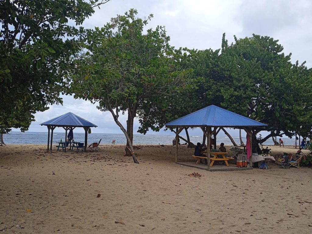 Carbets à toit bleu à l'ombre des raisiniers sur la plage de l'Autre Bord, au Moule
