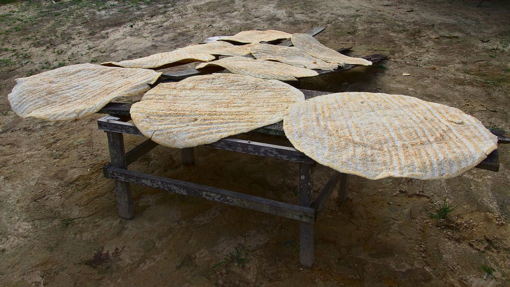 Des galettes de cassave qui sèchent sur une table