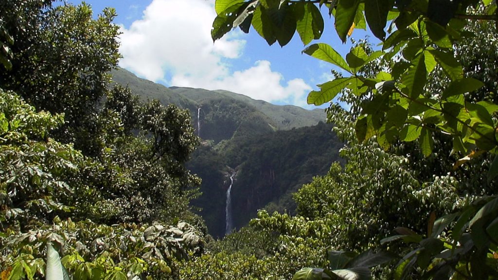 Les chutes du Carbet vues de loin, deux filets d'eau dans la vallée boisée