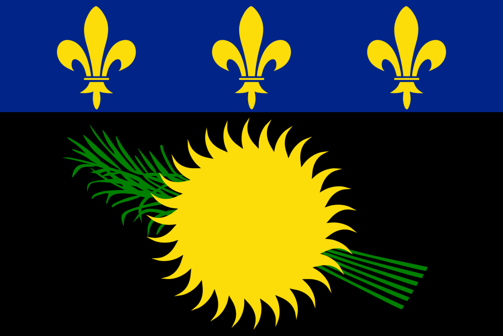 Le drapeau au soleil et à la canne, avec ses trois fleurs de lys sur bande bleue