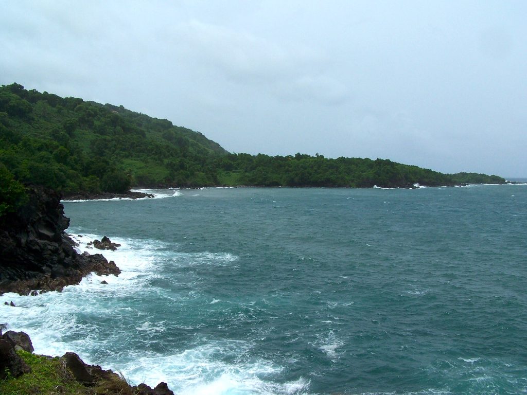 Côte rocheuse et boisée de la Grande Pointe à Trois-Rivières, vagues sur les rochers