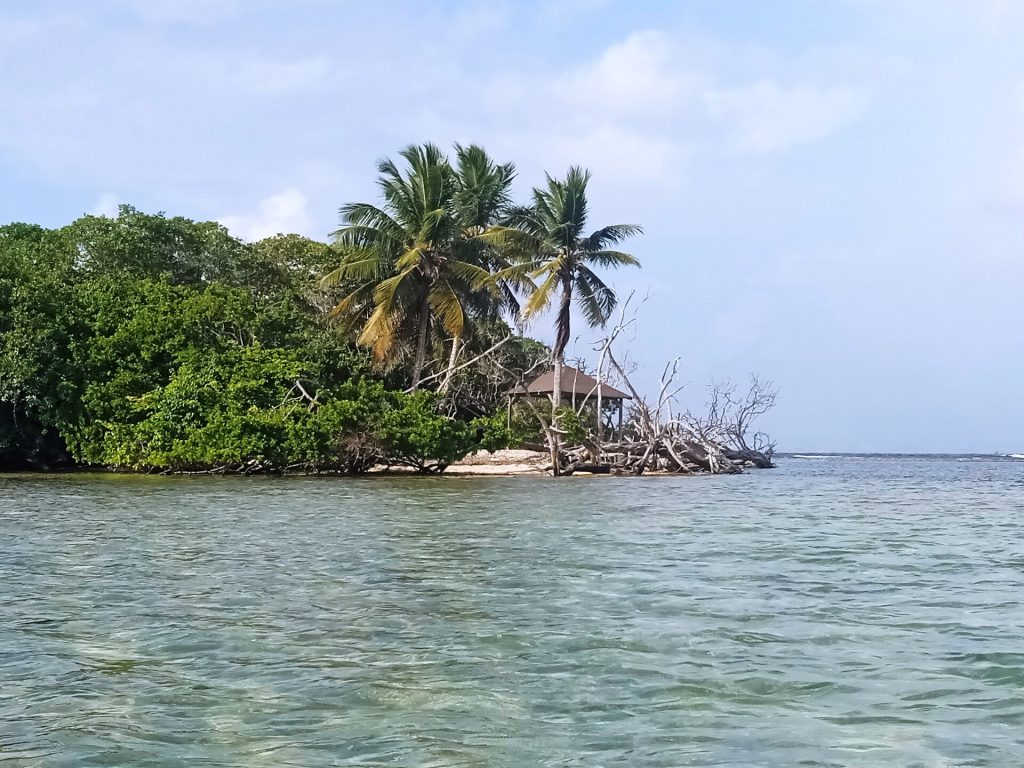 Îlet Fortune vu de près : mangrove, cocotiers et petit carbet au ras de l'eau