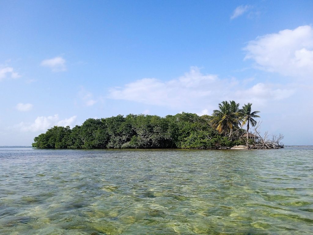 Îlet Fortune au large de Goyave, petite île boisée et cocotiers sur une eau turquoise