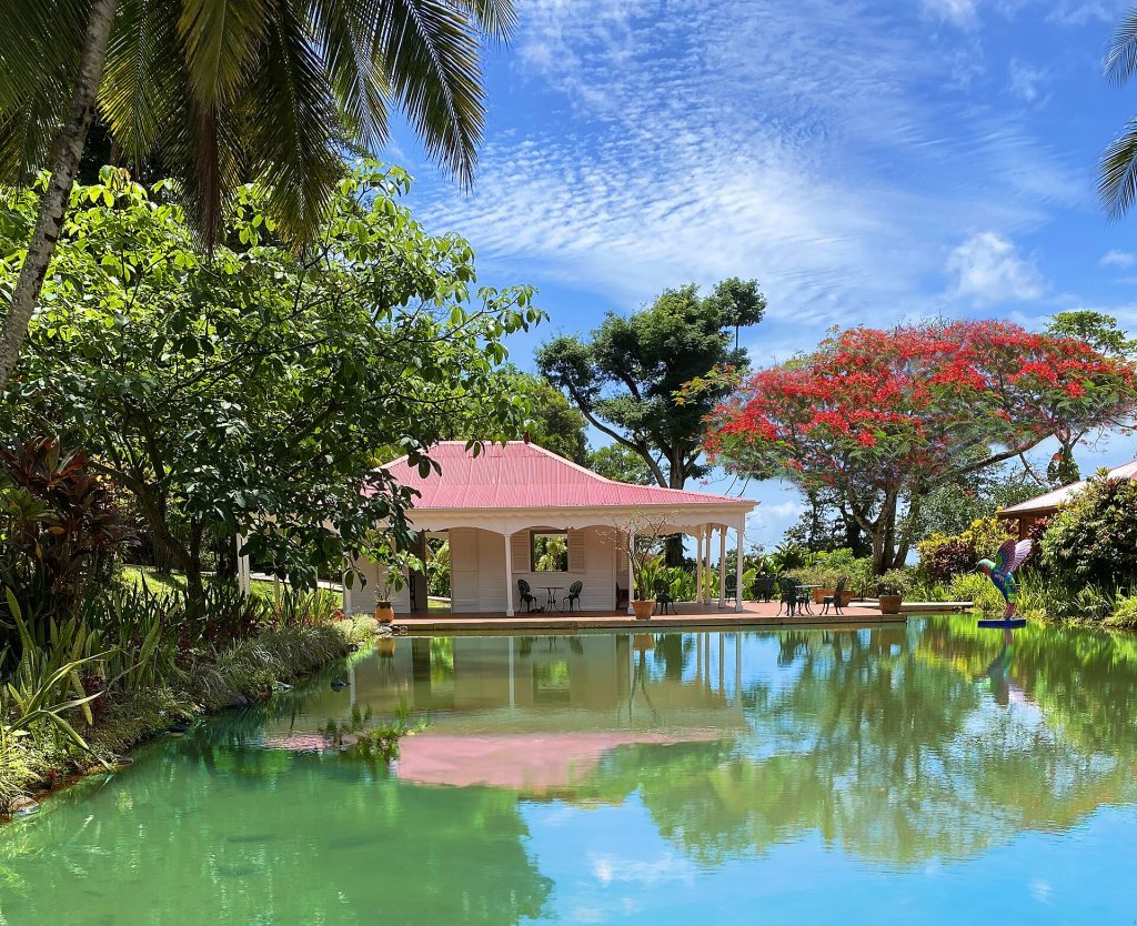 Bassin, pavillon créole au toit rose et flamboyant en fleurs au jardin de Valombreuse
