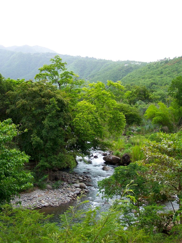 La Grande Rivière de Vieux-Habitants dans sa vallée boisée, en amont du bourg