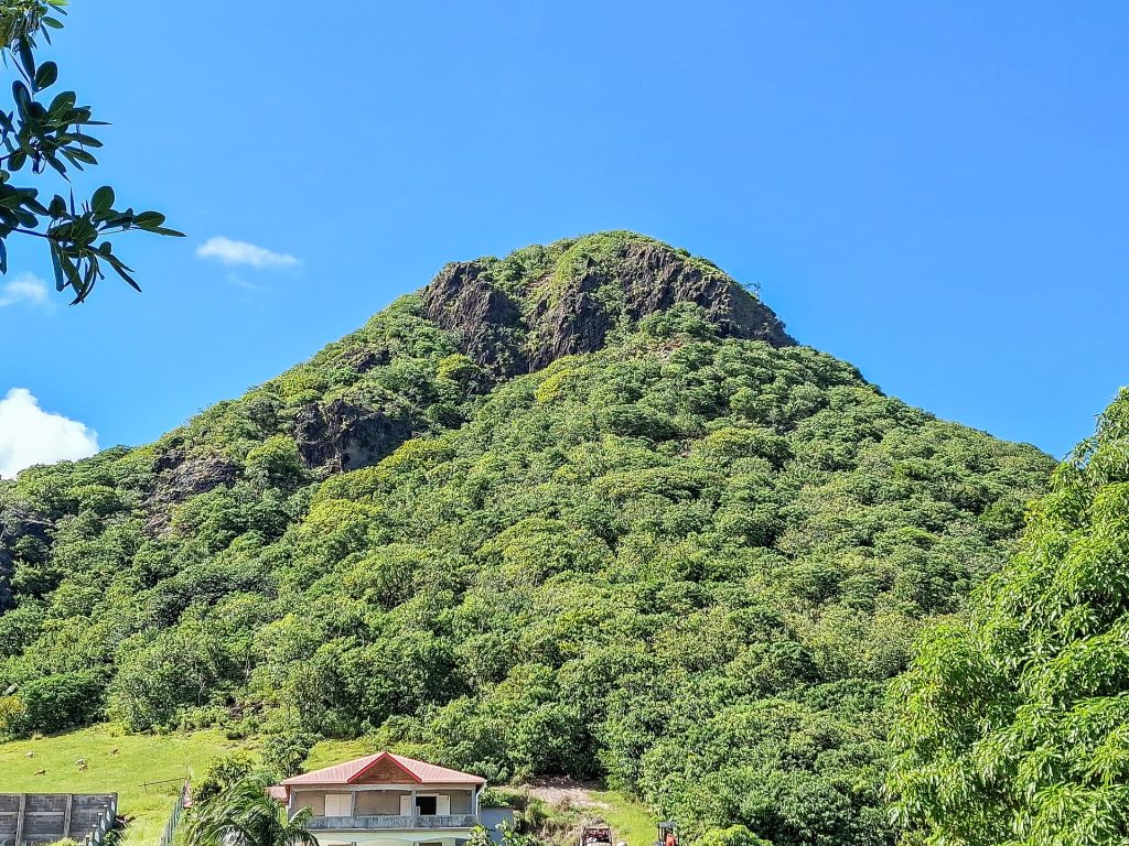 Sommet boisé du Chameau à Terre-de-Haut, aux Saintes