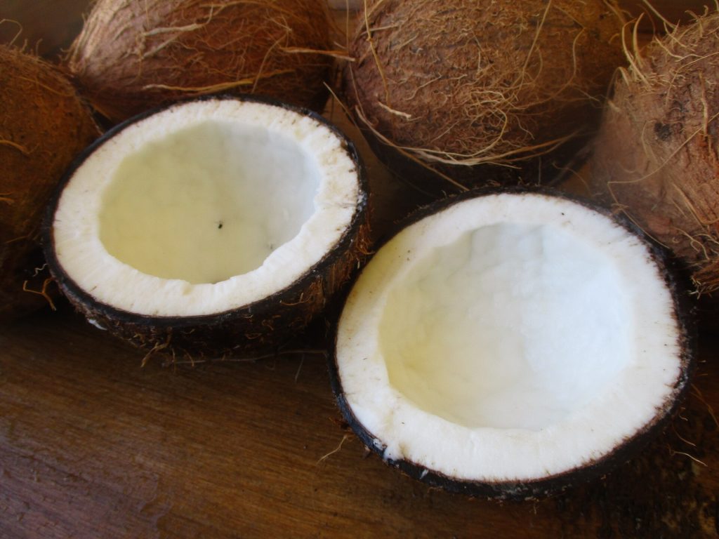 Des noix de coco ouvertes, la chair blanche qui parfume le flan coco