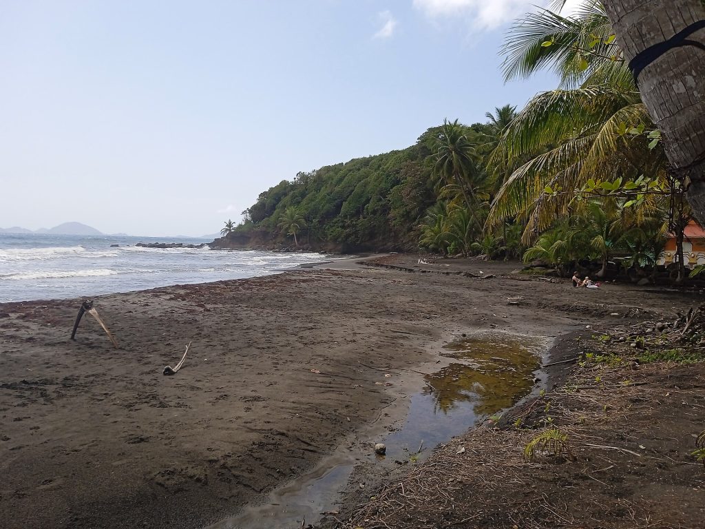 Plage de sable gris de Bananier et embouchure de la ravine Jean-Pierre, falaise boisée