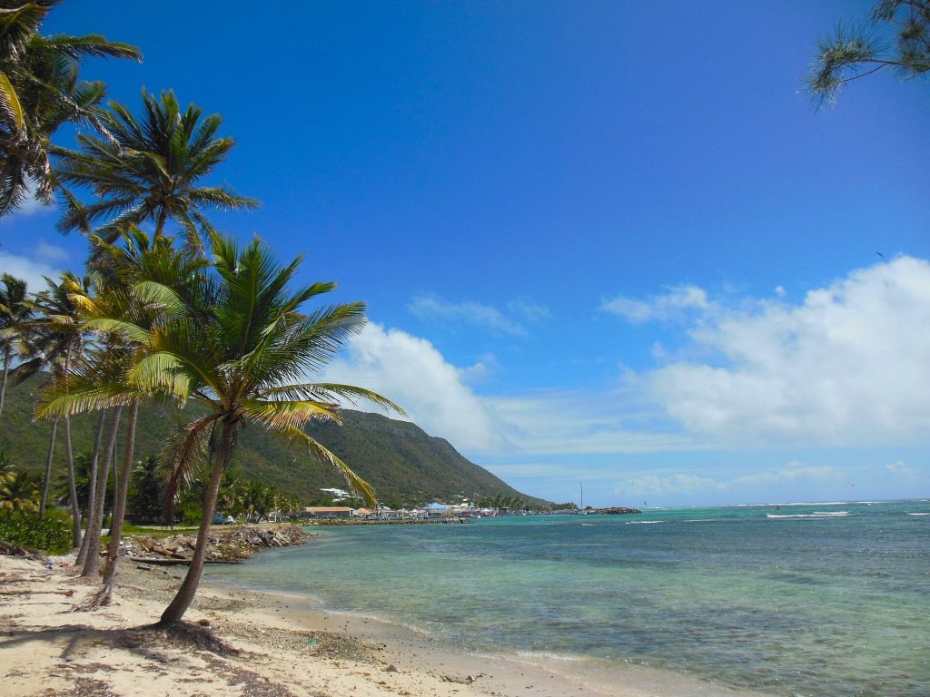 Plage de Beauséjour bordée de cocotiers, avec la côte est de La Désirade