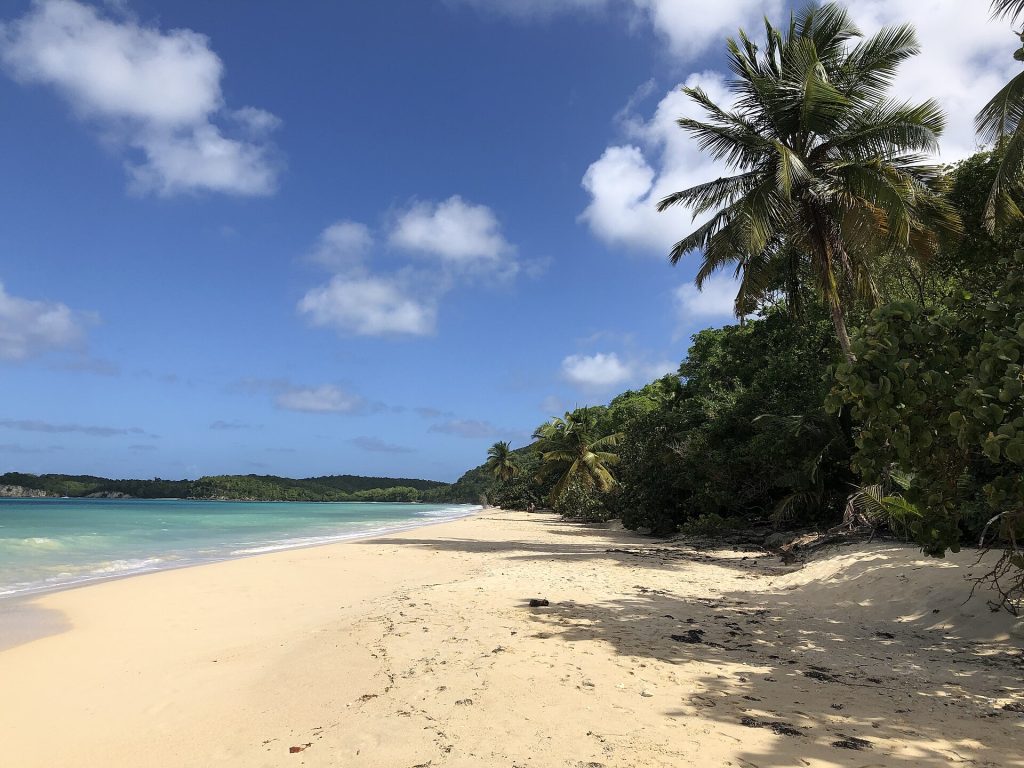La plage de Folle Anse, à Marie-Galante
