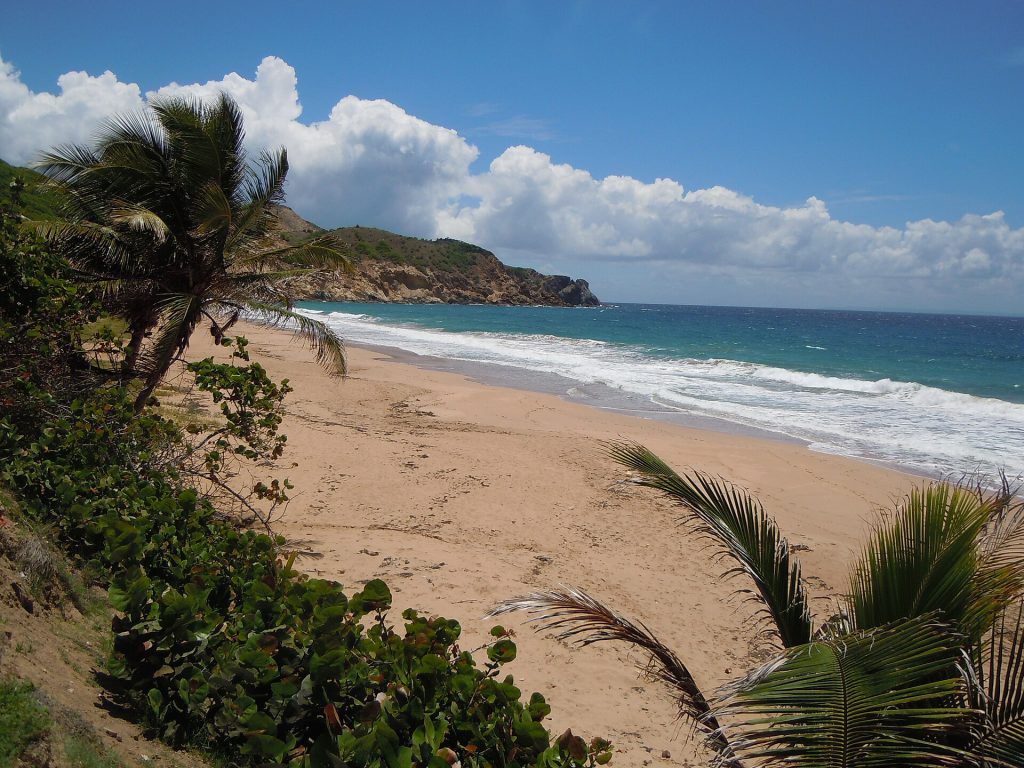 La plage de Grande Anse à Terre-de-Haut, aux Saintes, en saison sèche