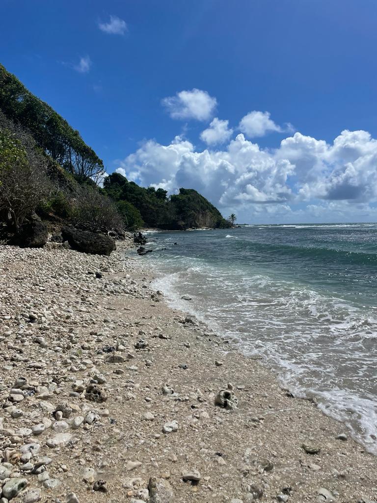 La plage du Helleux, dite plage de gros sable, à Sainte-Anne