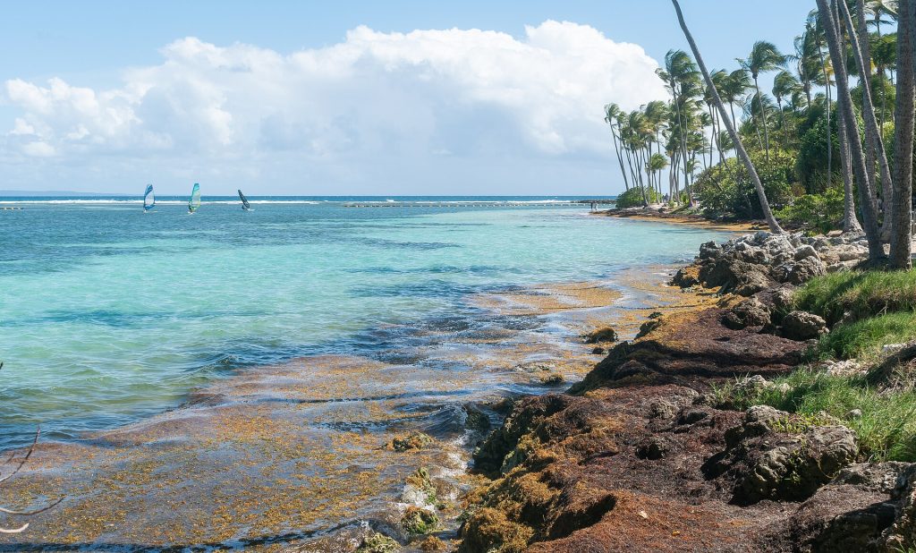 La plage de la Caravelle à Sainte-Anne, son lagon et ses véliplanchistes
