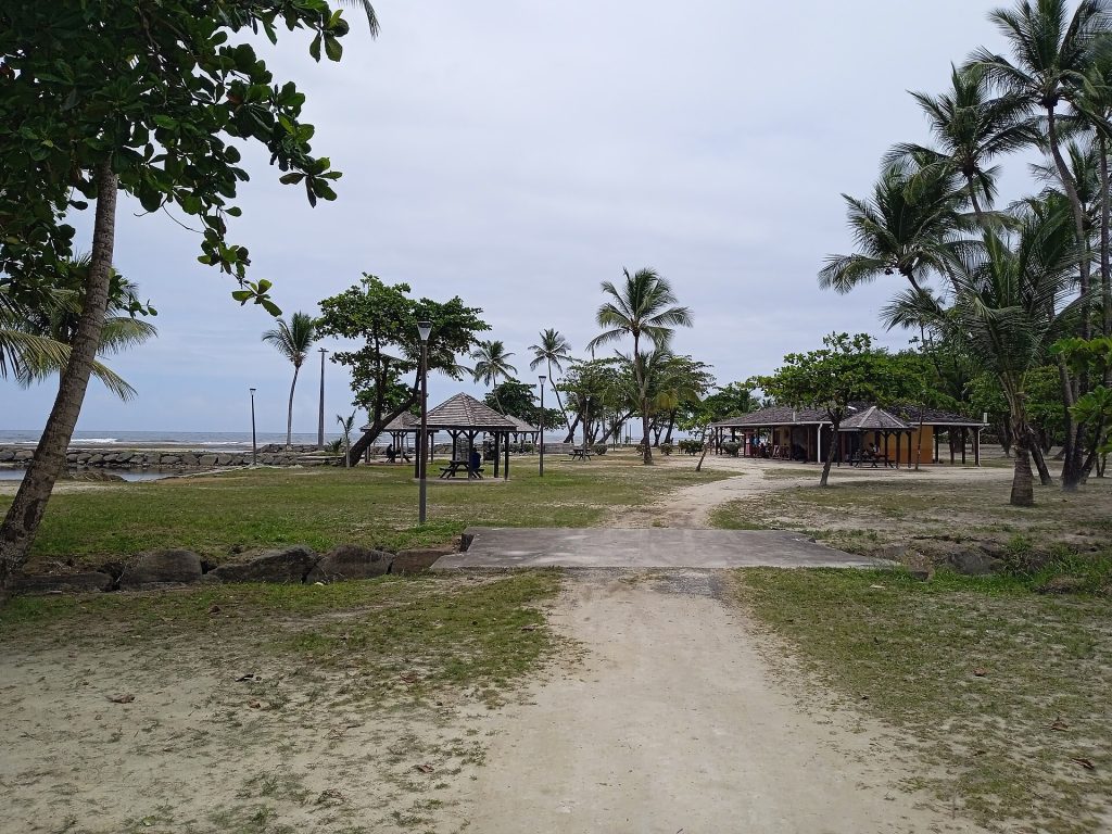Aire ombragée et carbets de la plage de Roseau, la mer derrière les arbres