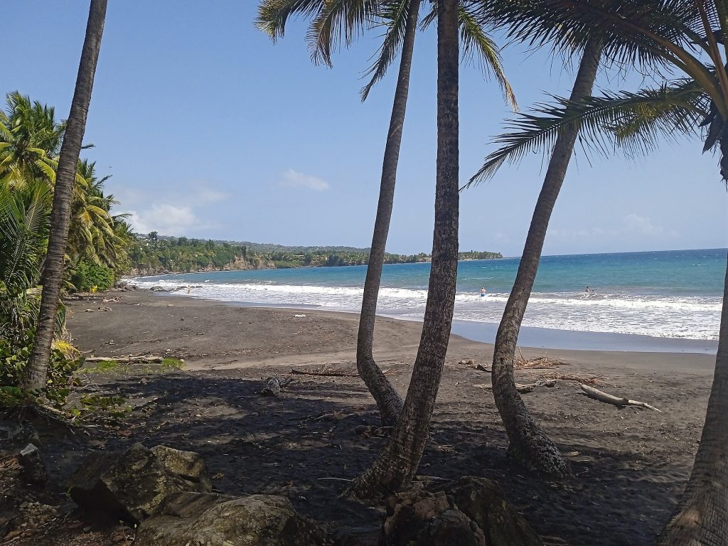 Plage de sable noir de Grande Anse à Trois-Rivières, cocotiers et pointe boisée