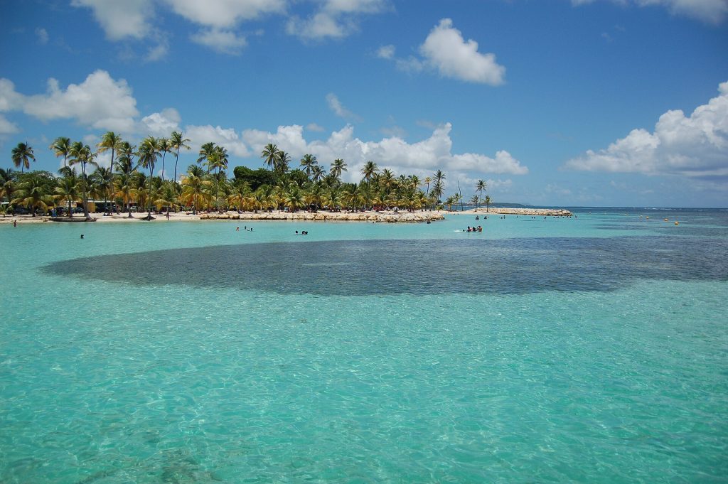 Le lagon turquoise et les cocotiers de la plage de Sainte-Anne, au sud de la Grande-Terre