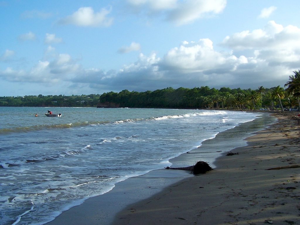 Plage de Sainte-Claire à Goyave, sable sombre et longue courbe bordée de cocotiers