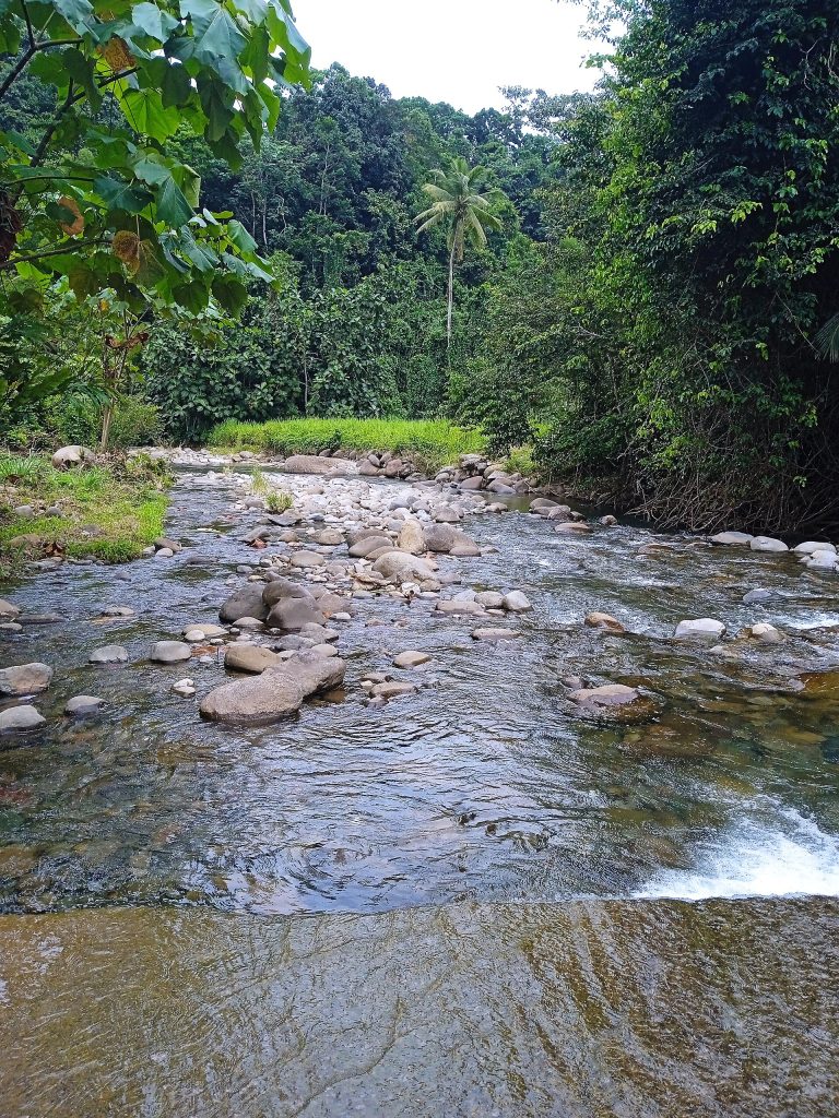 La rivière Moustique au passage à gué de Duquerry, à Petit-Bourg