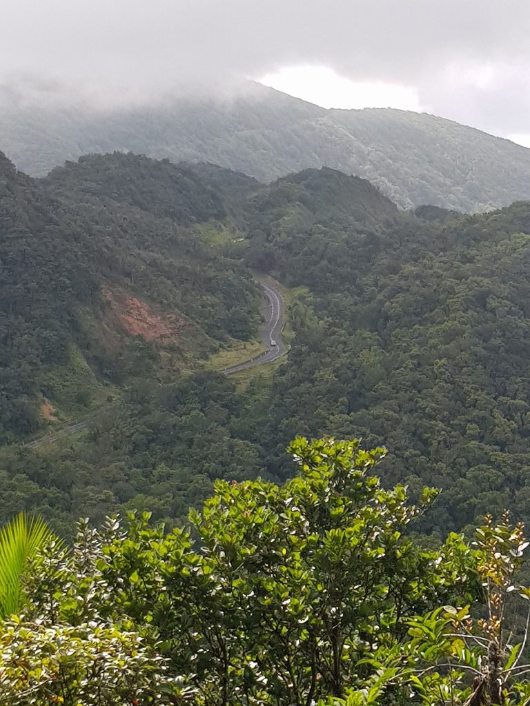 Lacets de la route de la Traversée dans la forêt, vus depuis la mamelle de Petit-Bourg